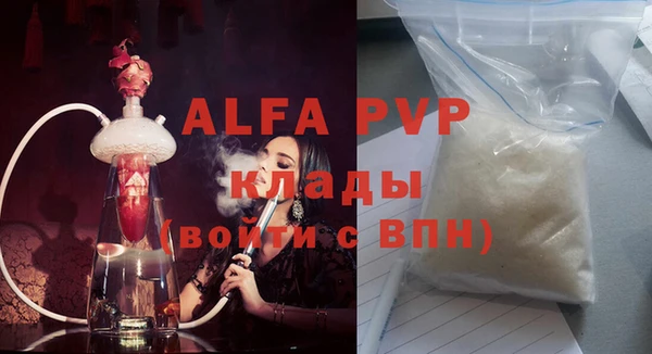 сатива Богданович