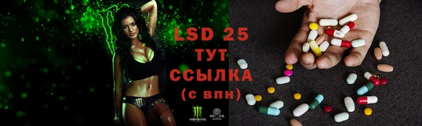 2c-b Тайга