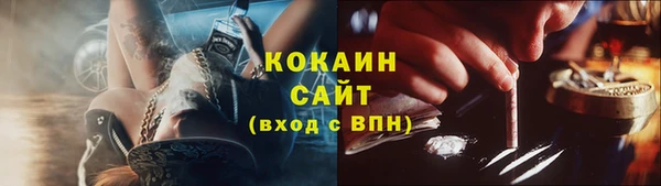 сатива Богданович