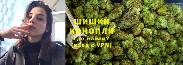 сатива Богданович