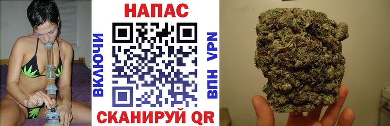 как найти закладки  Козьмодемьянск  Конопля гибрид 